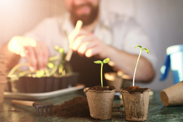 gardening at home hand sprout table