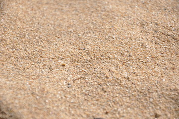 Fototapeta na wymiar Beach sand closeup