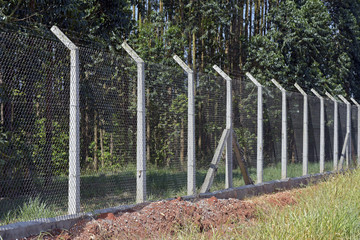 Wire mesh fence to protect planting eucalyptus