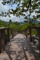 Caminho pela ponte de madeira