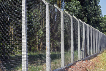 Wire mesh fence to protect planting eucalyptus