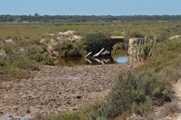 Fototapeta premium paisaje de la marisma