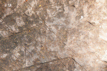 Dirty concrete wall.