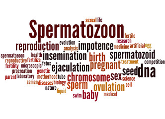 Spermatozoon, word cloud concept 2