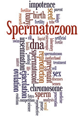 Spermatozoon, word cloud concept 3