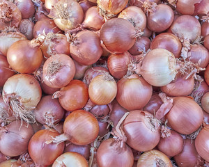 organic brown dry onions closeup, natural background