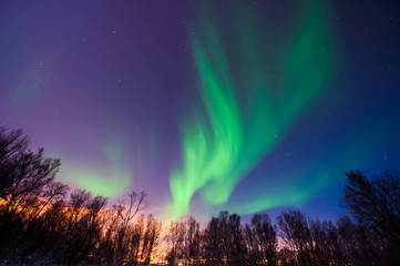 Fototapeta na wymiar Northern lights. Aurora borealis
