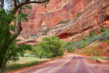 Scenic landscape in Zion national park, USA