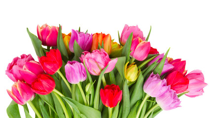 bouquet of  pink, purple and red  tulips