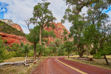 Scenic landscape in Zion national park, USA