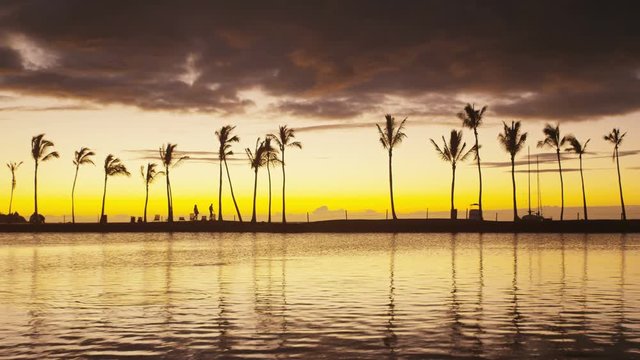 Paradise beach sunset or sunrise with tropical palm trees. Summer travel holidays vacation getaway colorful concept photo from sea ocean water at Big Island, Hawaii, USA. Tilt up to dark sky. RED EPIC