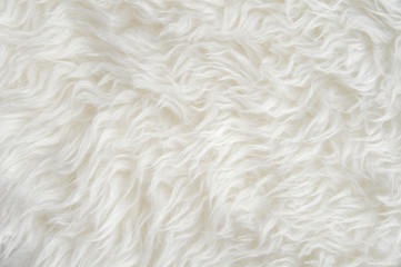 Luxurious wool texture from a  sheepskin rug