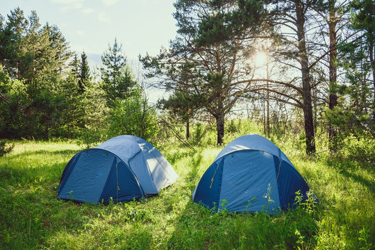 tourist tents on meadow in summer forest