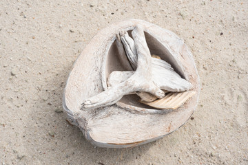 jetsam and coconut on the sand on the beach