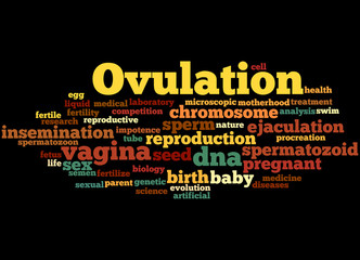 Ovulation, word cloud concept