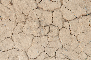 Crack soil texture background.