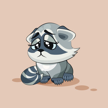 Raccoon cub sad