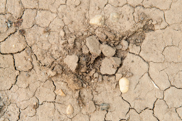 Crack soil texture background.