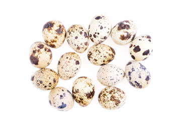 Quail eggs on white background