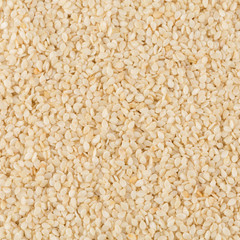 Closeup of lots of sesame seeds