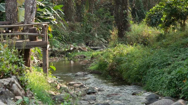River flows thru the jungle