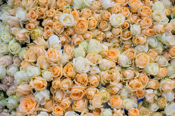 Abstract background of flowers for wedding Close up