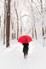 Snowy Winter Walk - 108897416