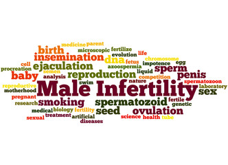 Male Infertility, word cloud concept 2