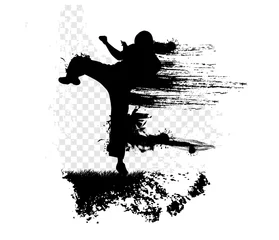 Foto auf Acrylglas Kampfkunst Kampfkunst