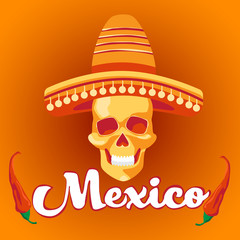 Skeleton Wear Mexican Sombrero Mexico Traditional National Holiday