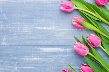 Rosa Tulpen auf blauem Holzhintergrund