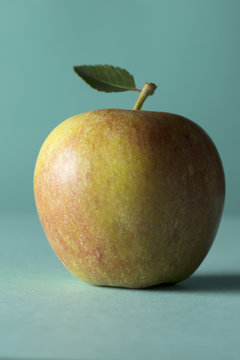 A single red cox apple on a grey background