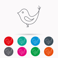 Bird with beak icon. Social media concept sign.
