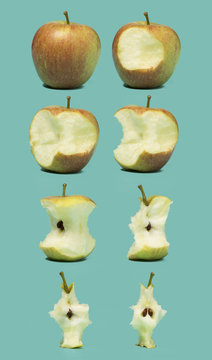 Apple eating stages