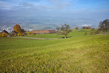 Obraz premium Green meadows above Lake Lucerne, near mount Rigi, Alps, Switzerland