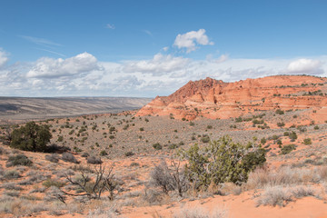 Landscape of South Coyote Buttes, Vermillion Cliff, Arizona, USA