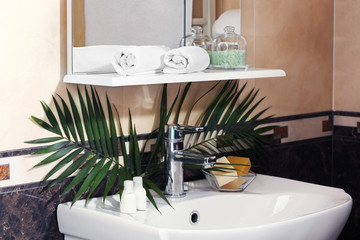 Bathroom interior with sink, shelf, towel and palm leaves