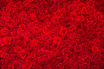 Naklejka premium Dywan z czerwonych róż, kwiaty w tle