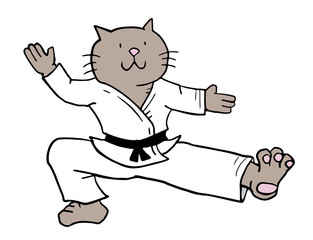 karate cat © RATOCA