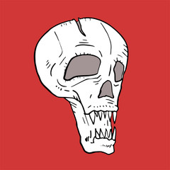 Skull illustration