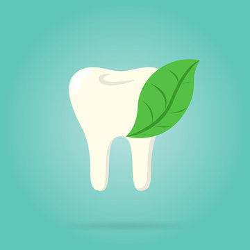 Tooth logo isolated, vector illustration. Human tooth.