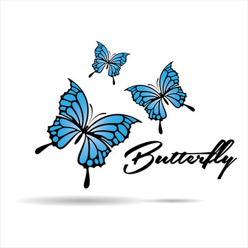 Blue Butterfly Background vectors