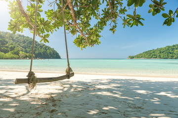 Wood swing and Tree on beach with sunlight