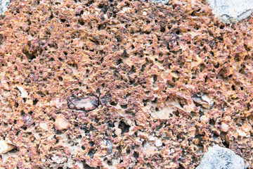 laterite wall background