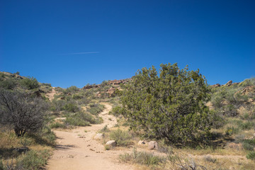 Fototapeta na wymiar Trail through Mojave Hills