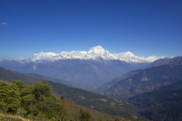 Fototapeta premium Annapurna range