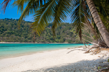 Clear sea, beach and coconut palm leaves in summer season