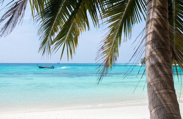 Clear sea, beach and coconut palm tree in summer season