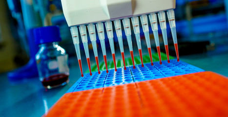 DNA samples are loaded to 96-well plate for PCR analysis