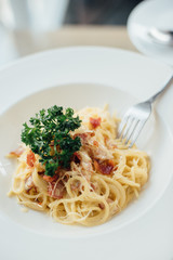 spaghetti on the dish